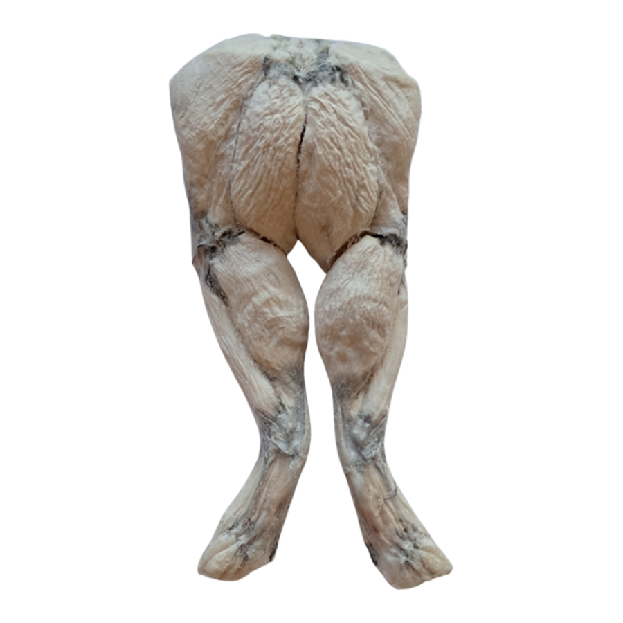 Bones & Co Freeze Dried Frog Legs