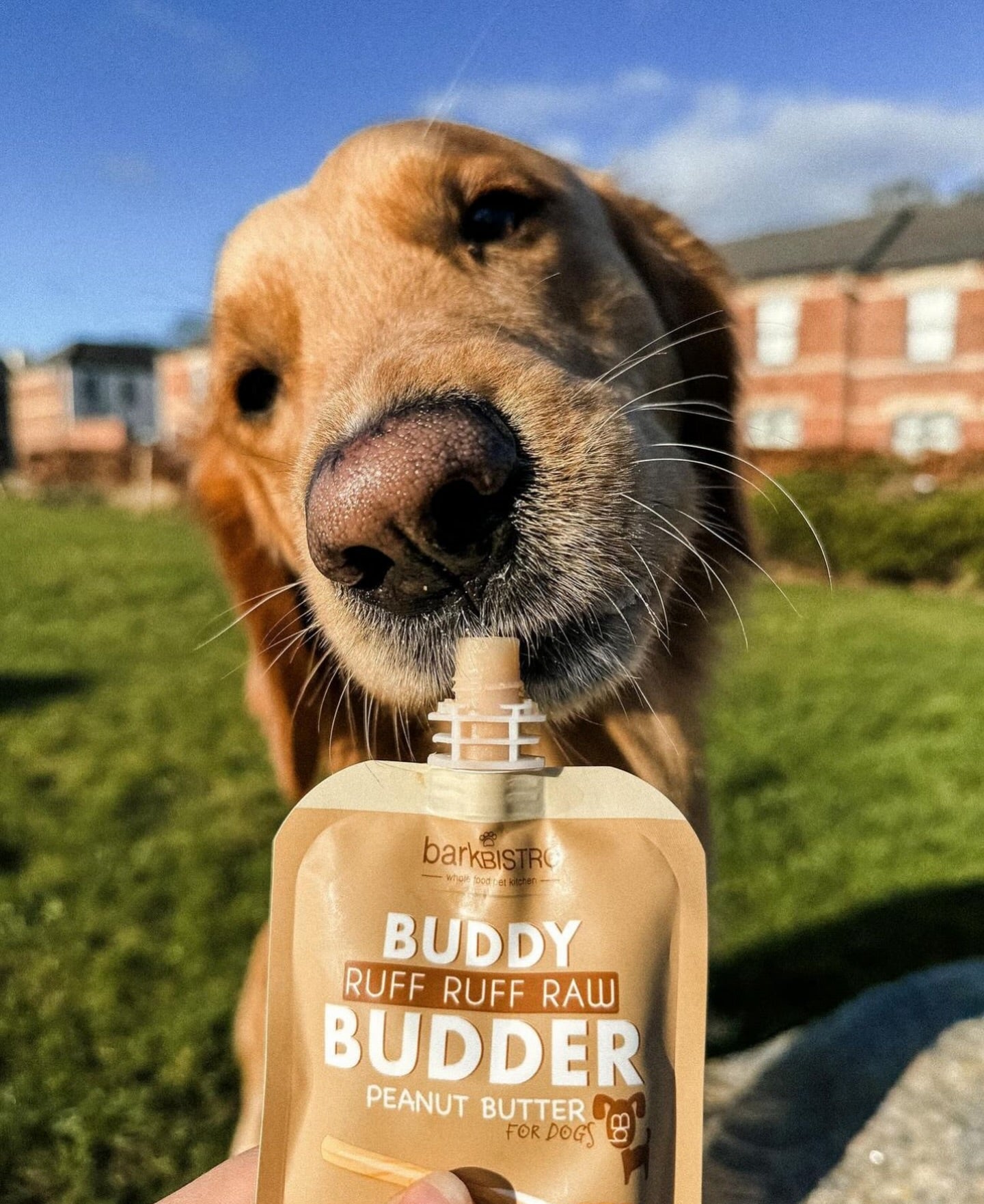 Ruff Ruff Raw - Bark Bistro Buddy Budder 4oz Squeeze