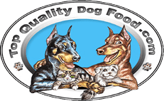 Boneless Turkey Basics 2lb