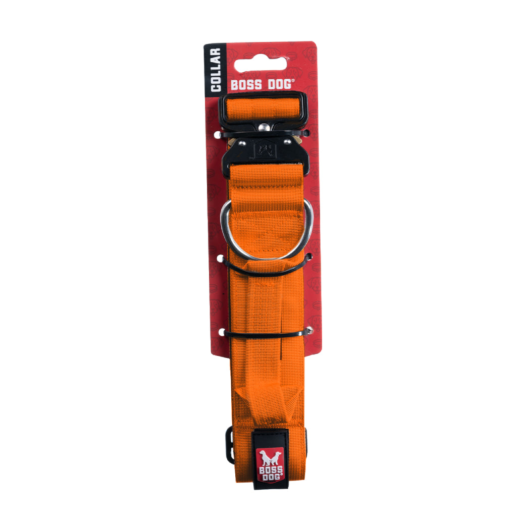 Boss Dog Collar XL- Hunter Orange
