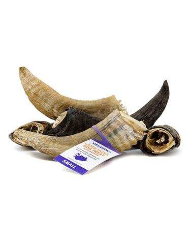 Icelandic Lamb Horn Small