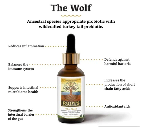 Adored Beast- The Wolf