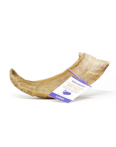 Icelandic Lamb Horn - Large 4oz