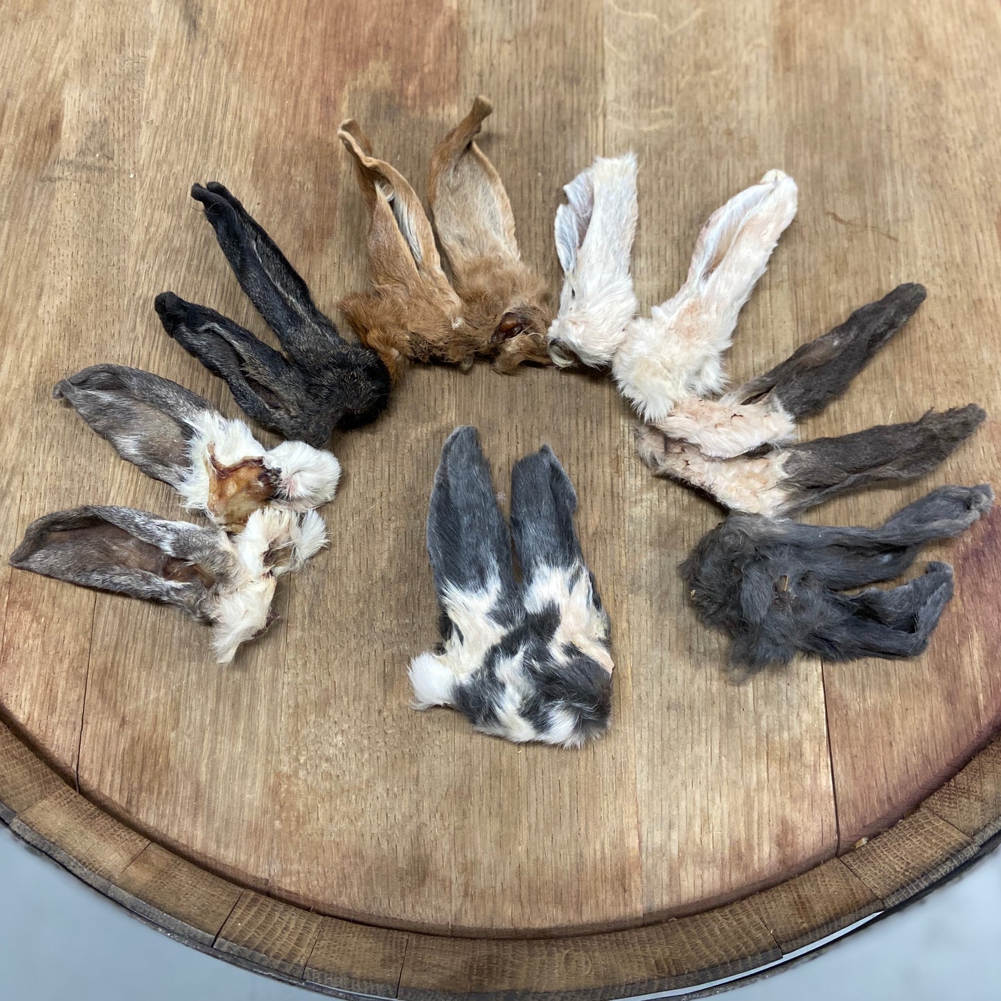 Rabbit Ears