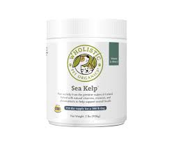 Wholistic Pet Sea Kelp 8oz