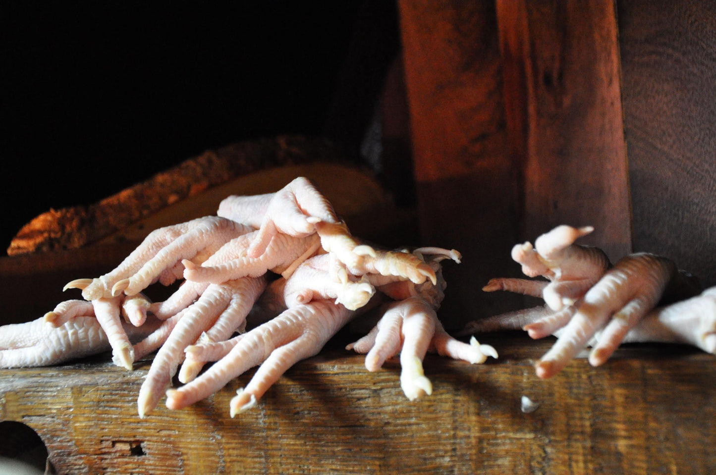 The K9 Shop Chicken Feet 2lb - Raw