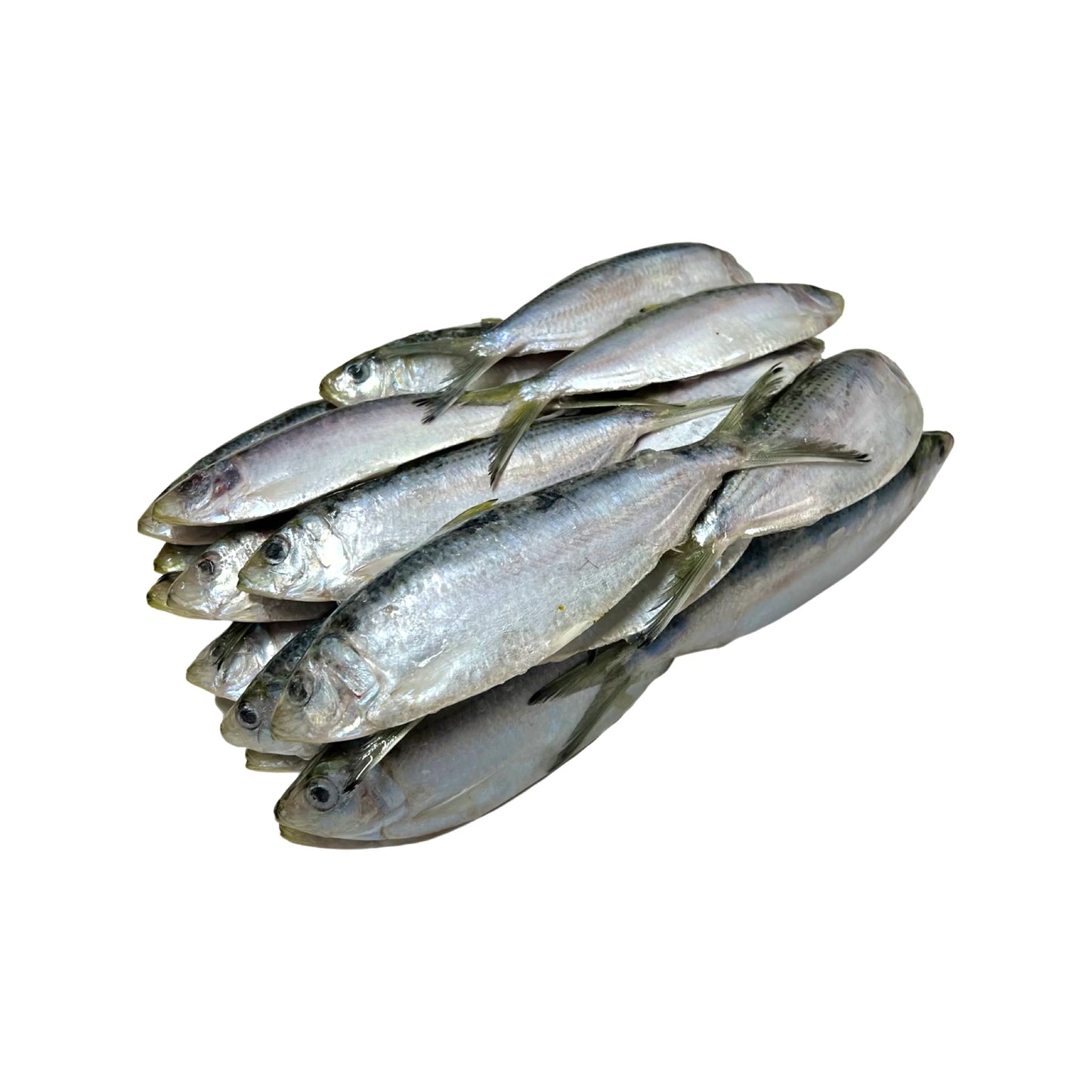The K9 Shop Herring 5lb