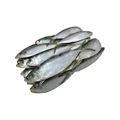 The K9 Shop Herring 5lb