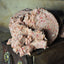 K9 Kraving Chicken, Beef & Vegetable 5lb