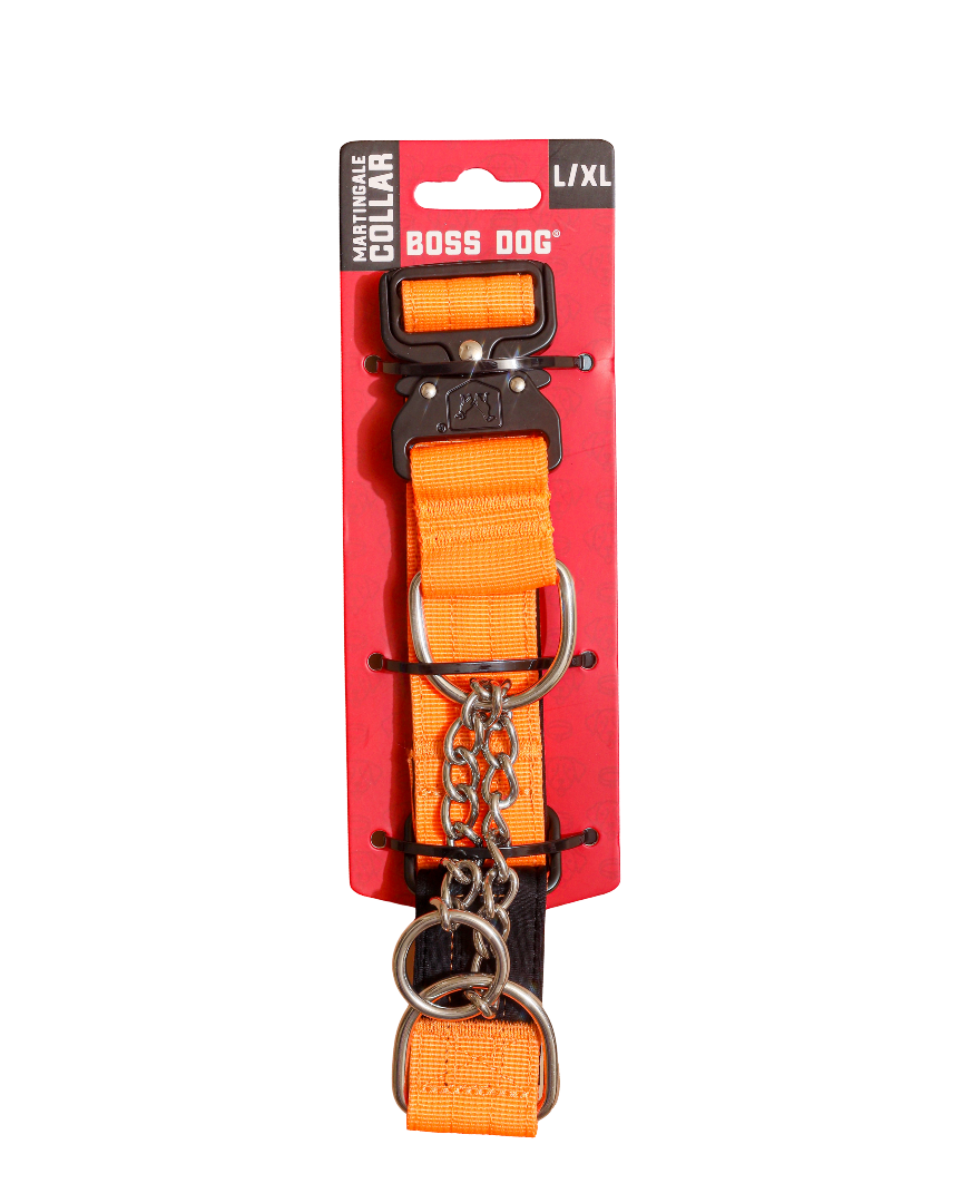 Boss Dog Tactical Martingale Collar 1.5" - Large/XL- Hunter Orange