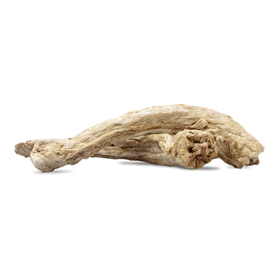 VITAL ESSENTIALS FREEZE-DRIED TURKEY NECK Raw Bar Individual