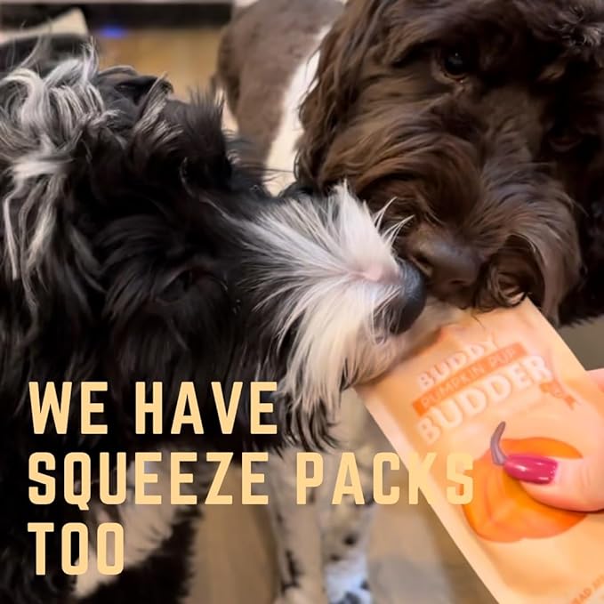 Pumpkin - Bark Bistro Buddy Budder 4oz Squeeze
