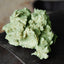 K9 Kraving Green Tripe 5lb