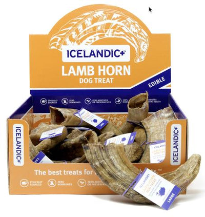 Icelandic Lamb Horn - Large 4oz