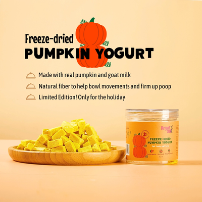 Arya Sit- Freeze Dried Pumpkin Yogurt