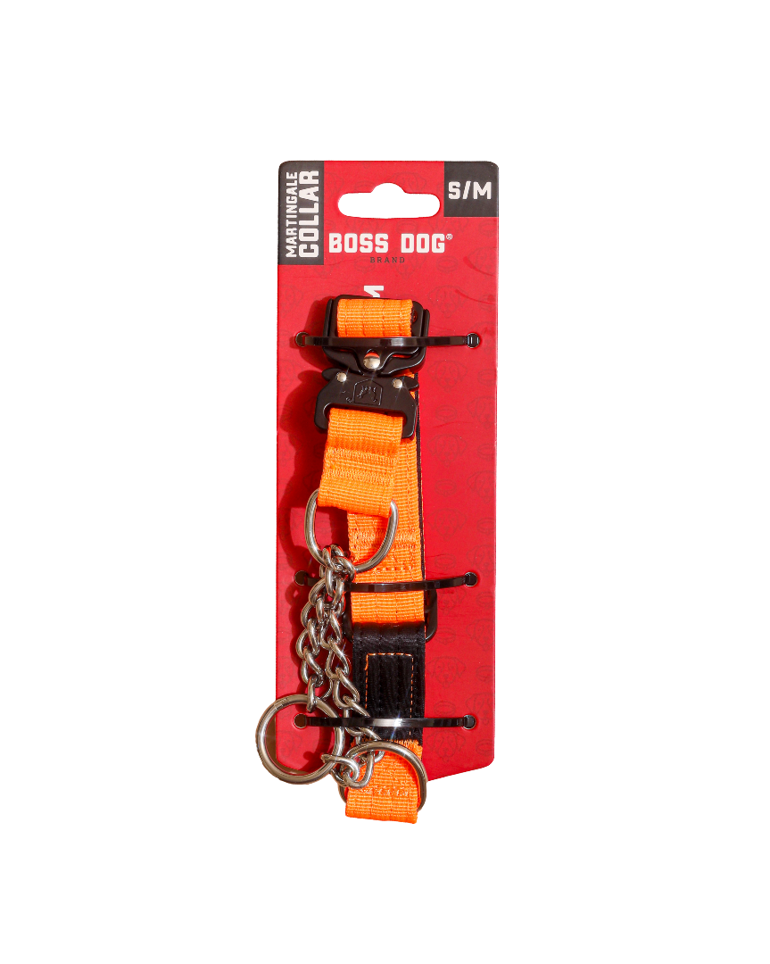 Boss Dog Tactical Martingale Collar 1" - Small/Medium- Hunter Orange