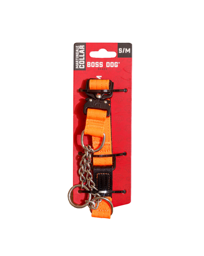 Boss Dog Tactical Martingale Collar 1" - Small/Medium- Hunter Orange