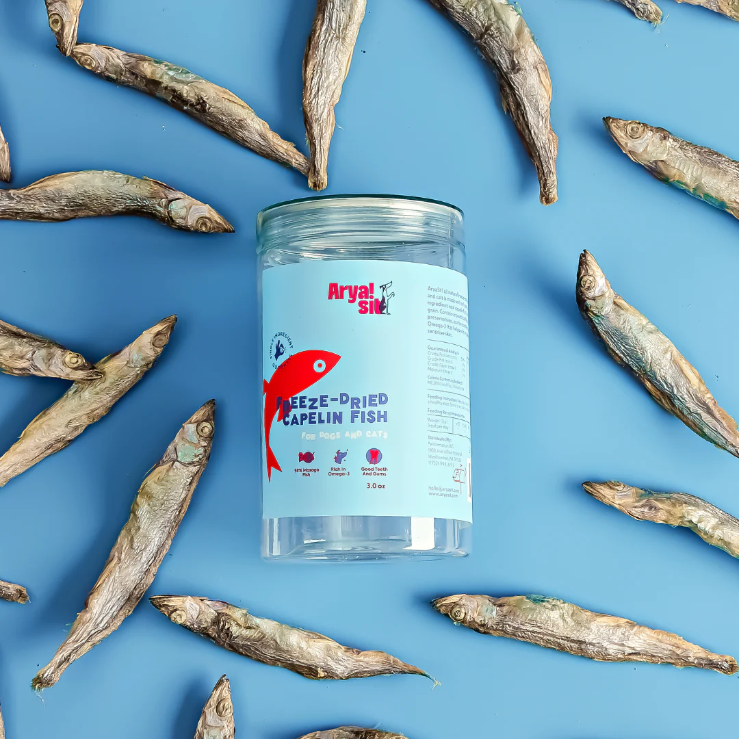 Arya Sit- Freeze Dried Capelin