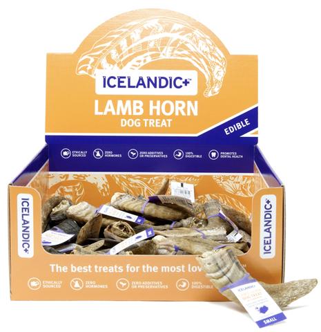 Icelandic Lamb Horn Small